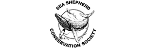 Sea-Shephard2